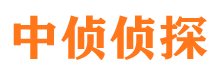 班玛市调查公司